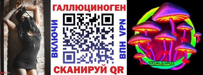 shop клад  Кызыл  Галлюциногенные грибы Psilocybine cubensis  цены наркотик 
